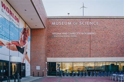 The 11 Best Museums To Visit In Boston