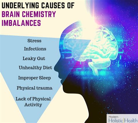 Worst Toxins and Where You're Getting Exposed | Modern Holistic Health