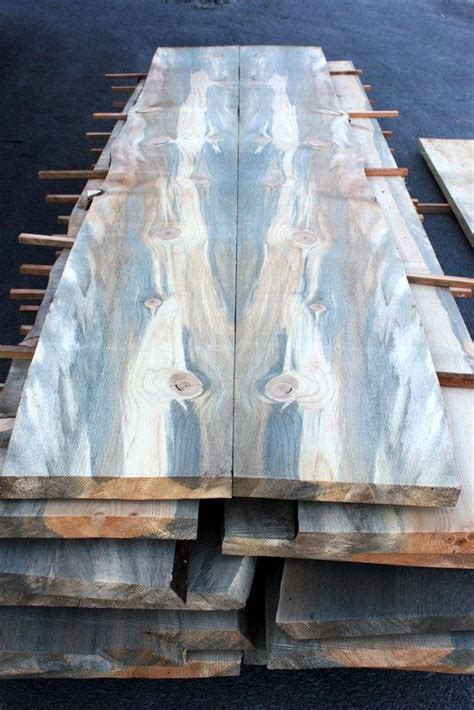 What Would You Do With These Live Edge Blue Pine Slabs Wood Beetle Kill Pine Beautiful Wood