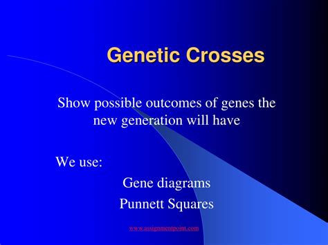 Ppt Genetic Crosses Powerpoint Presentation Free Download Id 9617895