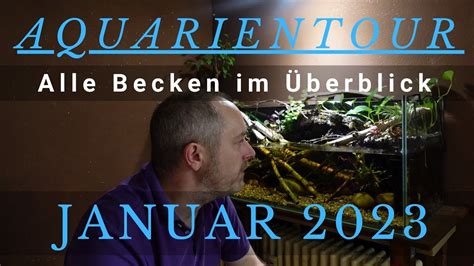 Aquarientour Januar 2023 Alle Becken im Überblick aquaristik