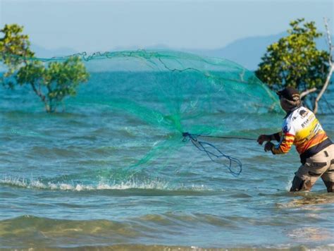 Choosing the right cast net for your target bait species - Ryan Moody ...