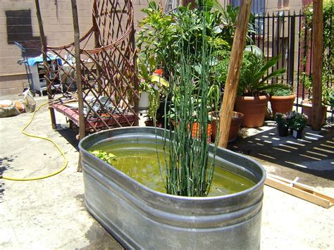 Horse Trough Pond Flickr Photo Sharing