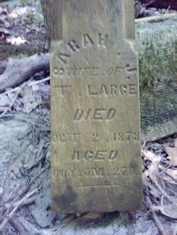 Sarah Jane Stilwell Large M Morial Find A Grave