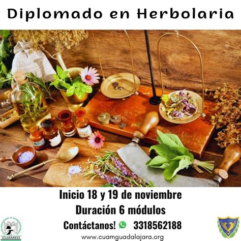 Diplomado En Herbolaria Cuamed Guadalajara 18 November 2023