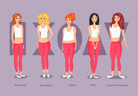 Set Of Female Body Shape Types Stock Illustration Illustration Of Isolated Beautiful 112562841