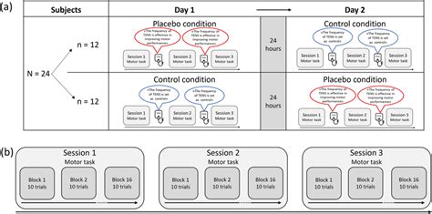 Schematic Representation Of The Experimental Design And Protocol A