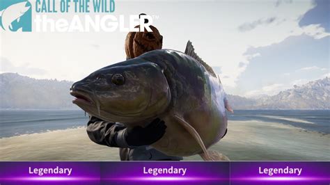 El Matador COTW The Angler YouTube