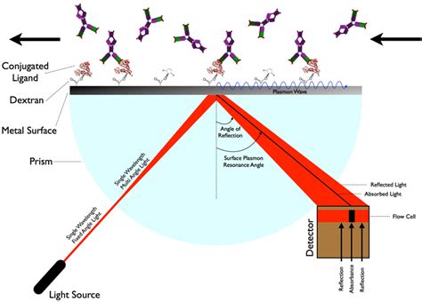 【分析技术】spr 表面等离子共振（surface Plasmon Resonance）的基本原理与应用 知乎