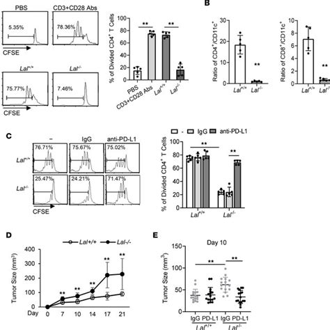 Lal Cd C Cells Suppress T Cell Proliferation And Stimulate Tumor