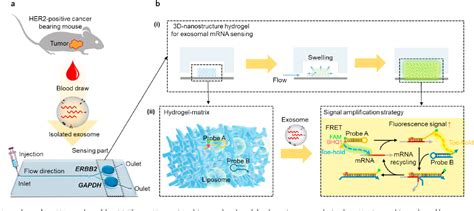 Figure 1 From Microfluidic Device For One Step Detection Of Breast