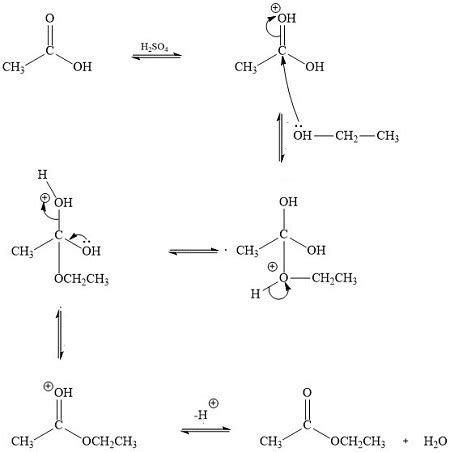 Ethyl Butyrate Synthesis