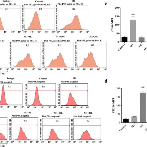 Effects Of Luteolin On Mrna Expression In M2 Macrophages The Download Scientific Diagram