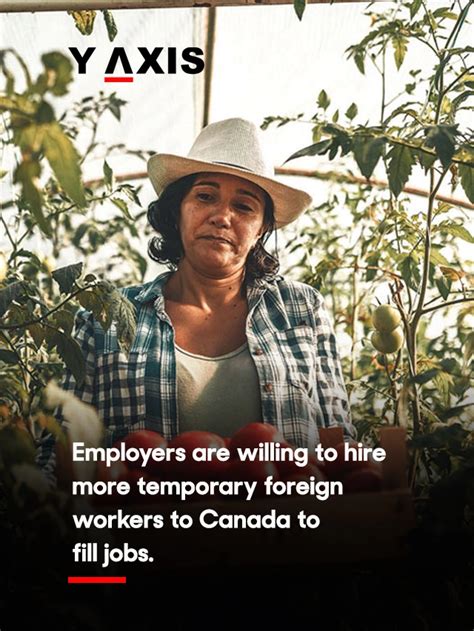 56 Of Canadians Support Temporary Foreign Workers Nanos Research