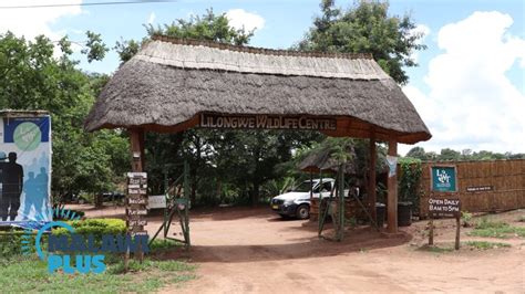 18 Best Things to Do in Lilongwe, Malawi – 2023｜Malawi Travel and ...