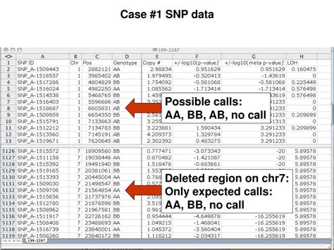 Ppt Introduction To Affymetrix Snp Technology Powerpoint Presentation