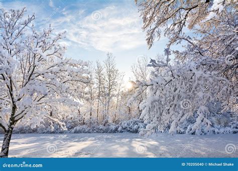 Snowy Winter Sunrise Scene Stock Photo Image Of Snow 70205040