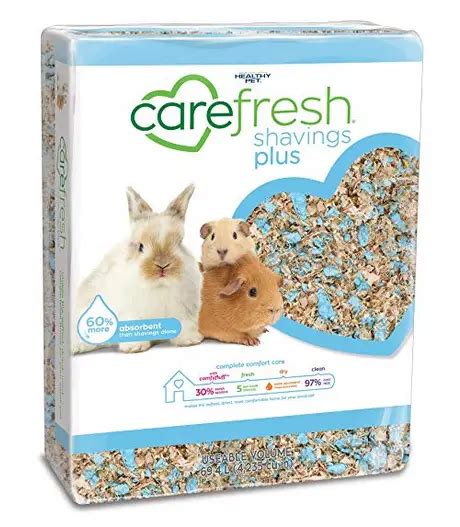 10 Best Guinea Pig Bedding Reviewed in 2024 | TheGearHunt