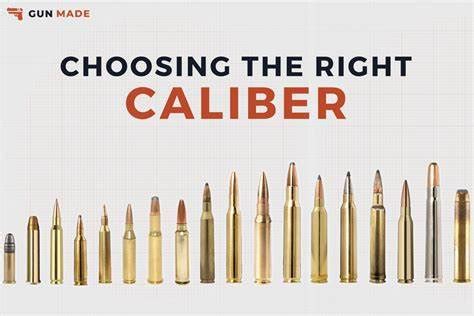 Bullet Size Chart All Rifle Calibers Smallest To Largest Wallpaper