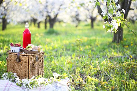 Recipes How To Make The Perfect Summer Picnic Rising Tide Natural Market