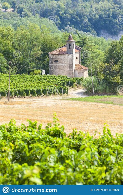 Vineyards In The Wine Region Languedoc Roussillon Roussillon France