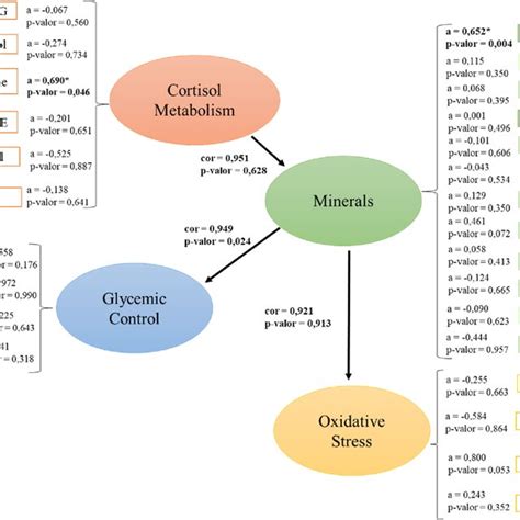 Diagram Of The Canonical Correlation Between Markers Of Cortisol