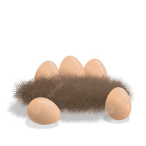 Chicken Eggs PNG Transparent Chicken Egg In The Hay Chicken Egg Hay