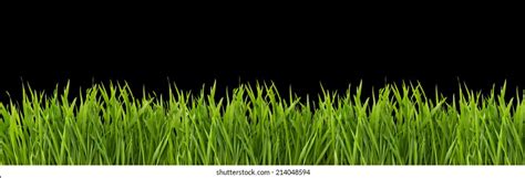 Grass On Black Background Images Stock Photos And Vectors Shutterstock