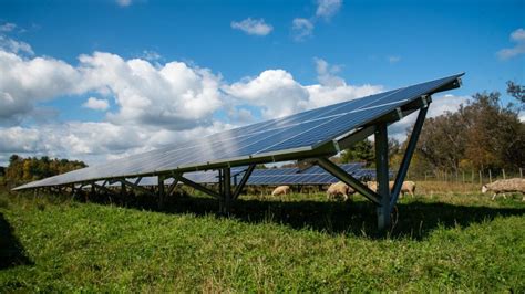 Solar Grazing Project Combines Renewable Energy And Agriculture Cornell Small Farms