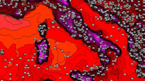 Quel Est Ce Stress Thermique Qui Arrive Avec Les Chaleurs Records En