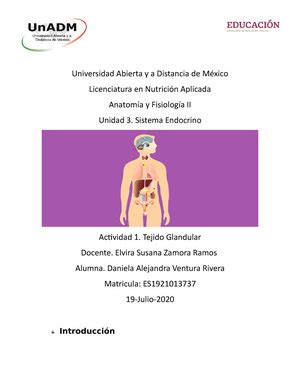 Infografía Cómo Mejorar el Sistema Inmune Virus Salud Informativo Rojo