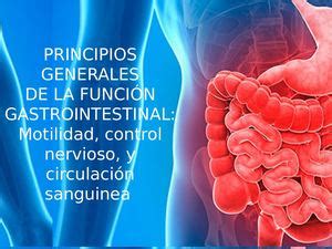 Calaméo Principios Generales Funcion Gastrointestinal