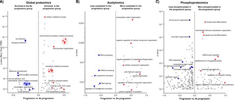 Cancers Free Full Text An Observational Study On The Molecular