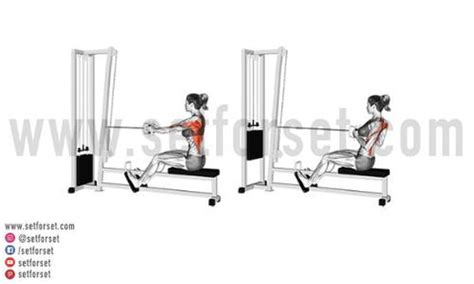12 Best Back Exercises Women Can Use to Build Muscle – SET FOR SET