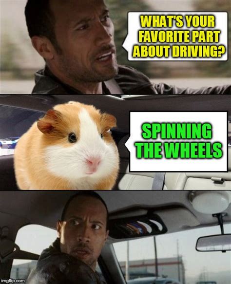 View 26 Hamster Spinning Wheel Meme Threadfmesz