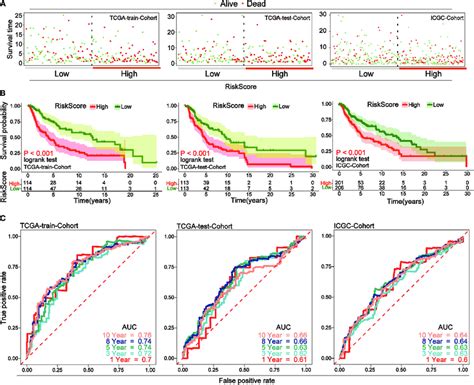 Low Risk Group In Prognostic Risk Model Associated With Longer Overall