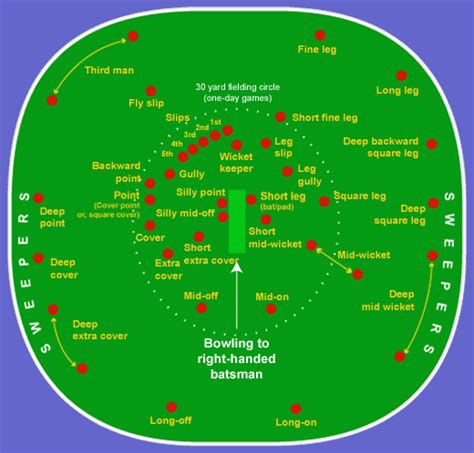 Cricket Fielding Positions | Fielding Positions In Cricket Ground