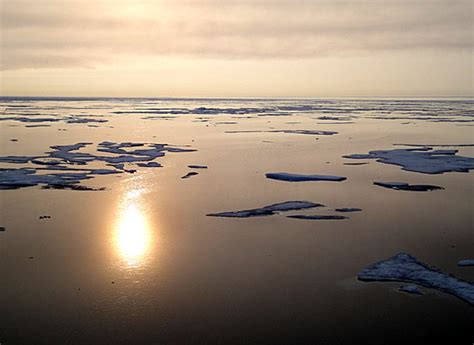 Melting Ice Releases Arctic Toxins Nunatsiaq News