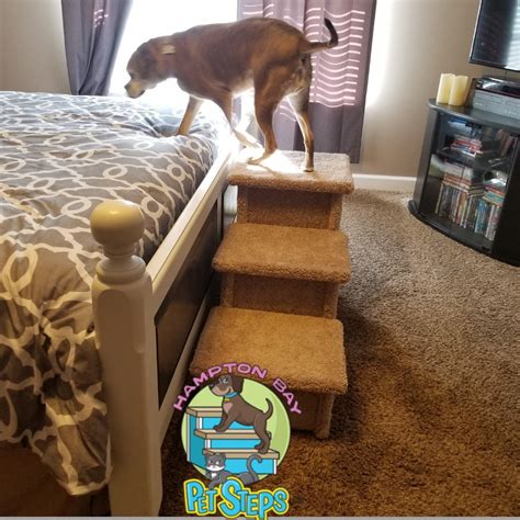 Dog Stairs, Dog steps for bed, great for tall beds & big or small dogs ...