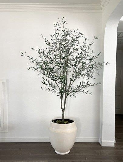 A Plant In A White Pot On The Floor