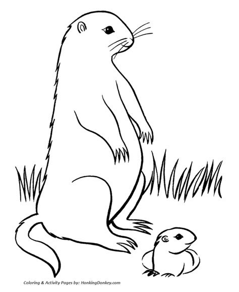 Groundhog Day Printable Coloring Pages - Coloring Nation