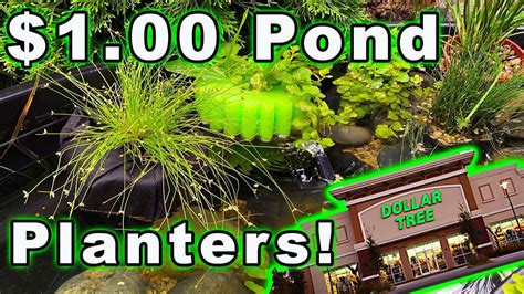 1 Dollar Tree Diy Floating Pond Planter Youtube Diy Pond Floating Pond Plants Pond