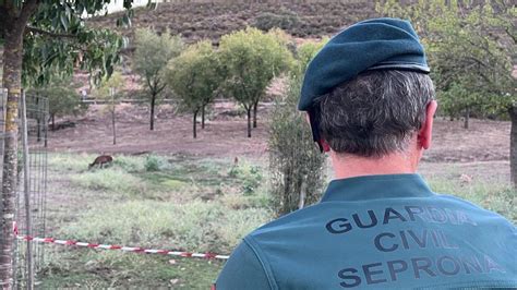 Qu Es La Retranca Por Esto Investigan A Tres Cazadores En Valencia