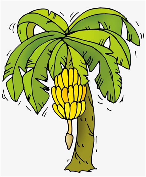 Banana Tree Cartoon Png PNG Image | Transparent PNG Free Download on ...