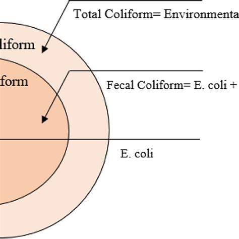 Different groups of coliform bacteria | Download Scientific Diagram