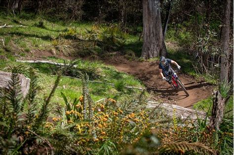 Mtb Trail Naming Comp Winners Falls Creek Alpine Resort