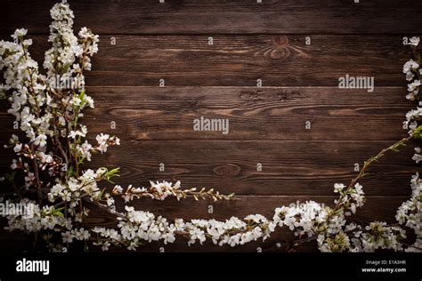 Flowers On Wood Texture Background Stock Photo Alamy