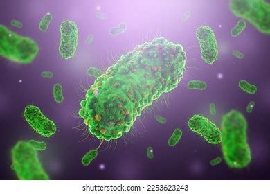 Concept Infectious Agents Bacteria Bacilli E Stock Illustration ...