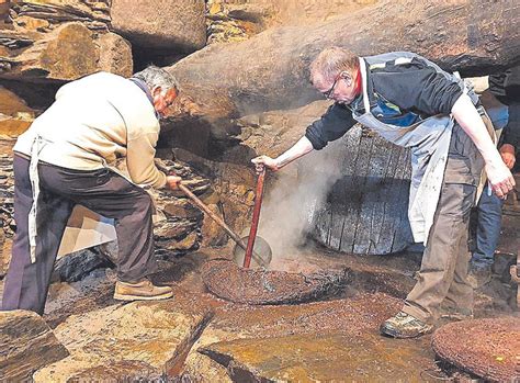 Descubre Los Secretos De La Lagar De Aceite De Latedo