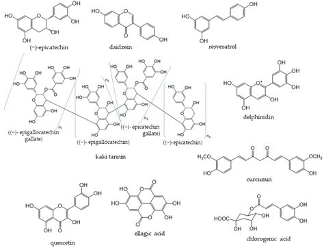 Antioxidants Free Full Text Dietary Phenolic Compounds Their